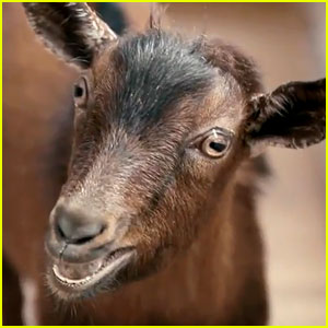 doritos-super-bowl-commercial-goats-4-sale-watch-now